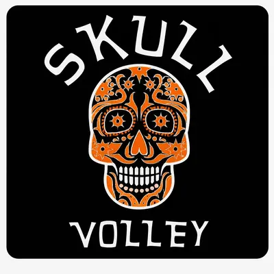 Logo Skull Volley Vigasio - Squadra Pallavolo Amatoriale